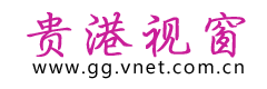 贵港视窗logo